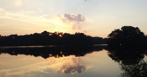 Beautiful sunset over a pond near Millsboro, Delaware