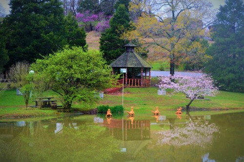 A serene pond scene with a gazebo, blooming trees, and reflections on the water's surface.