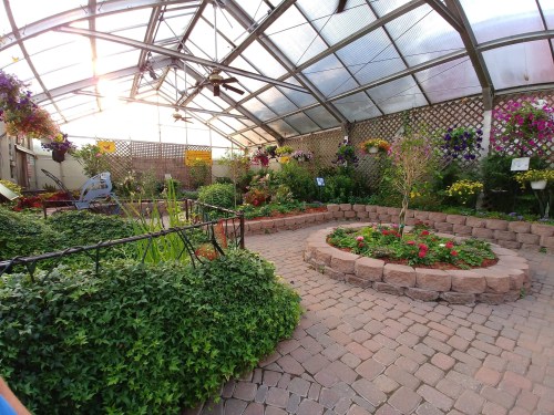 A vibrant greenhouse filled with colorful flowers, plants, and a circular stone garden bed. Sunlight filters through the roof.