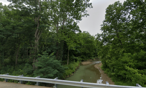 A serene creek flows through a lush green forest, bordered by trees and vegetation.