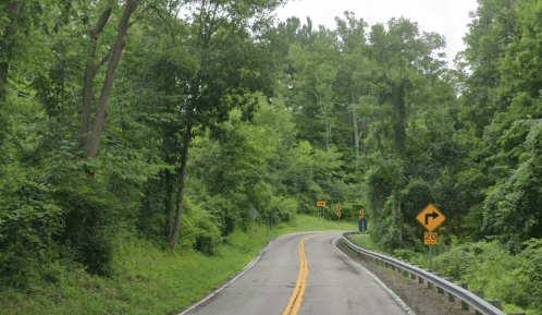 A winding road surrounded by lush green trees, with a curve warning sign and a speed limit of 20 mph.