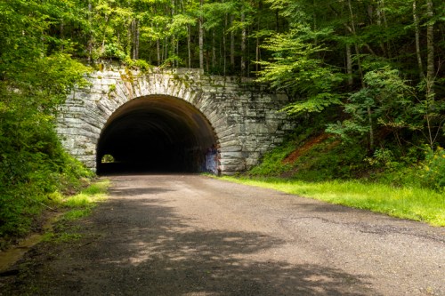 A stone tunnel surrounded by lush green trees, with a gravel path leading into the dark opening.