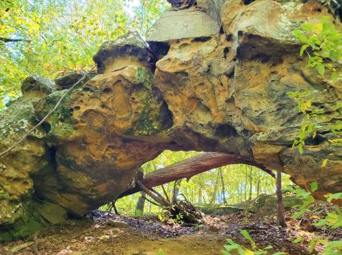 A natural rock arch surrounded by greenery and trees in a forested area.