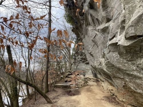 A rocky cliffside with bare trees and dried leaves, alongside a dirt path near a riverbank.