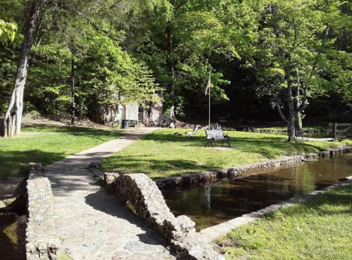 A serene park scene with a stone path, benches, and a clear stream surrounded by lush green trees.