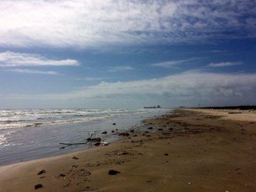 A sandy beach with scattered debris, gentle waves, and a cloudy sky in the background. A ship is visible on the horizon.