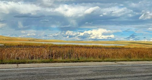 A wide view of golden grasslands under a cloudy sky, with a road in the foreground and distant hills.