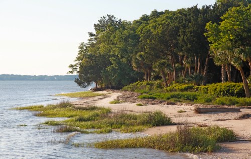 A serene beach scene with sandy shore, lush green vegetation, and calm waters under a clear sky.