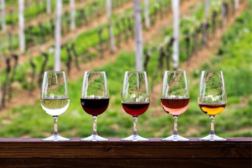 Five wine glasses filled with different types of wine, set against a backdrop of lush green vineyards.