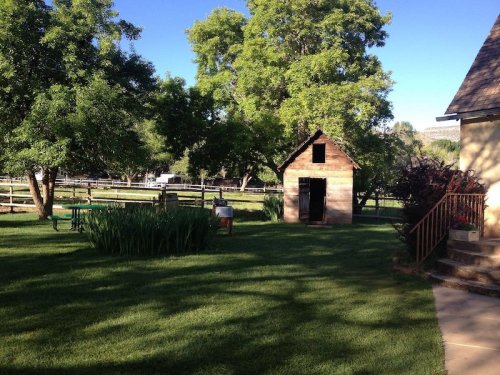 A sunny outdoor scene featuring a grassy area, trees, a small shed, and a wooden fence in the background.