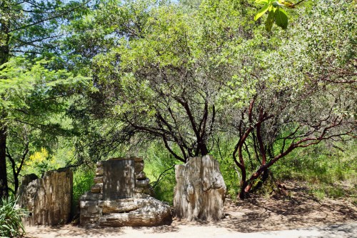 A serene outdoor scene featuring large stone remnants surrounded by lush green trees and foliage.