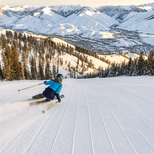 A skier glides down a snowy slope with mountains in the background, surrounded by tall pine trees.