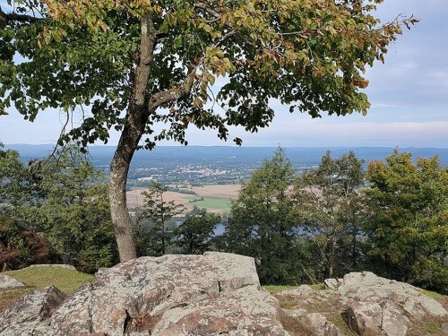 A scenic view from a rocky outcrop, featuring a tree and rolling hills in the distance under a partly cloudy sky.