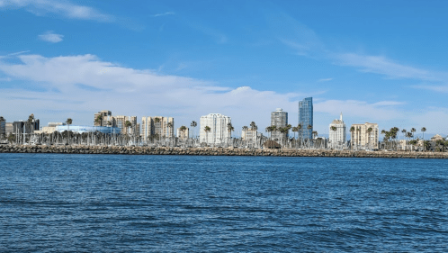 A coastal city skyline with palm trees, blue water, and a clear sky in the background.