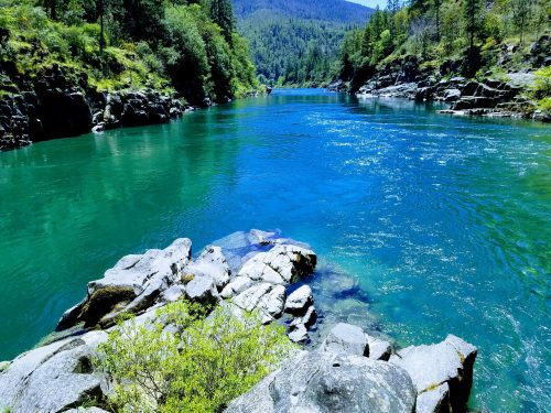 A serene river flows through a lush green landscape, surrounded by rocky shores and tall trees under a clear blue sky.