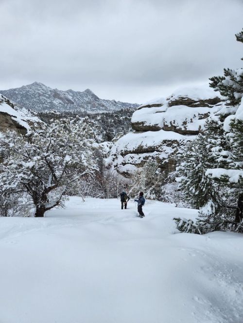 Two hikers navigate a snowy trail surrounded by snow-covered trees and rocky mountains under a cloudy sky.