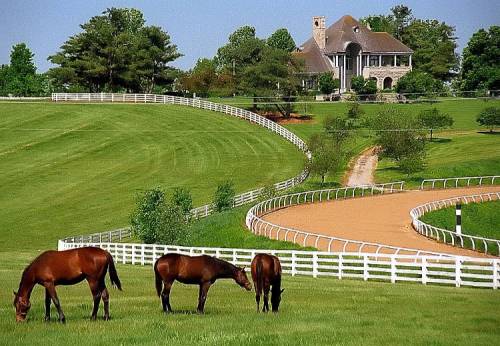 A scenic landscape featuring horses grazing on green grass, with a large house and winding driveway in the background.