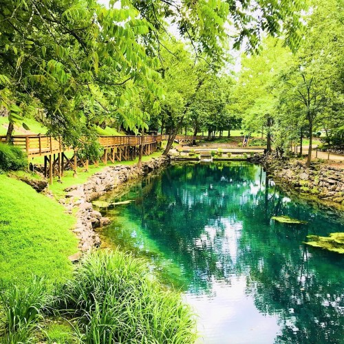 A serene pond surrounded by lush greenery and wooden pathways, reflecting the vibrant colors of nature.
