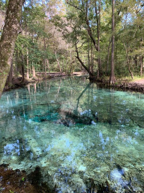 A serene, clear blue spring surrounded by lush green trees and reflections on the water's surface.