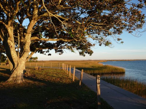 A serene landscape featuring a tree by a calm waterway, with a path and tall grass under a clear sky.
