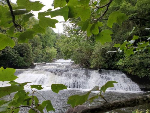 A serene waterfall surrounded by lush greenery, framed by leaves in the foreground.