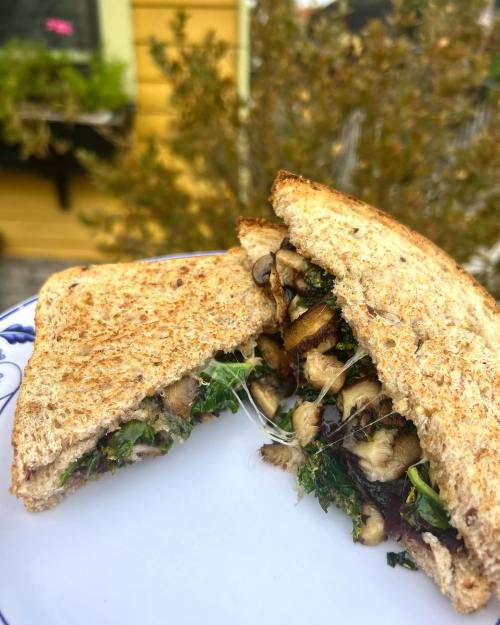 A close-up of a sliced sandwich with mushrooms and greens on whole grain bread, served on a decorative plate.
