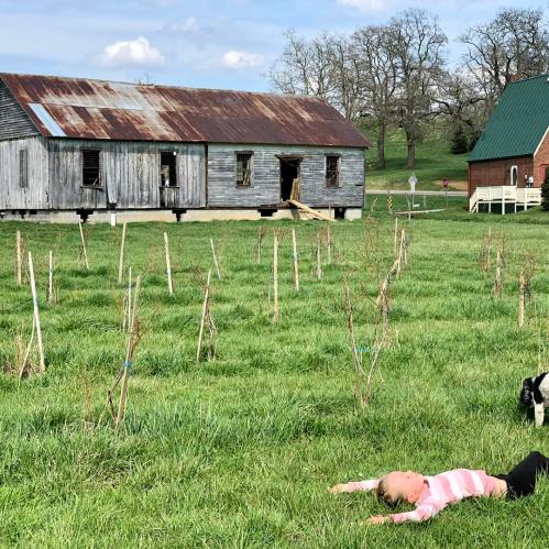 A child lies on the grass in front of two rustic buildings, with trees and a clear sky in the background.