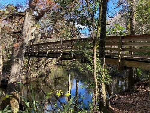 A wooden bridge spans a calm stream, surrounded by lush trees and greenery under a clear blue sky.