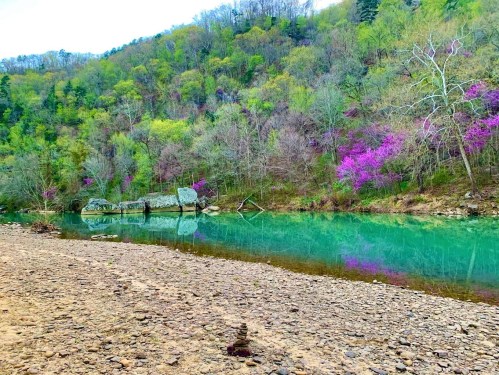 A serene river scene with vibrant green trees and pink flowers, reflecting in the clear water, surrounded by rocky banks.