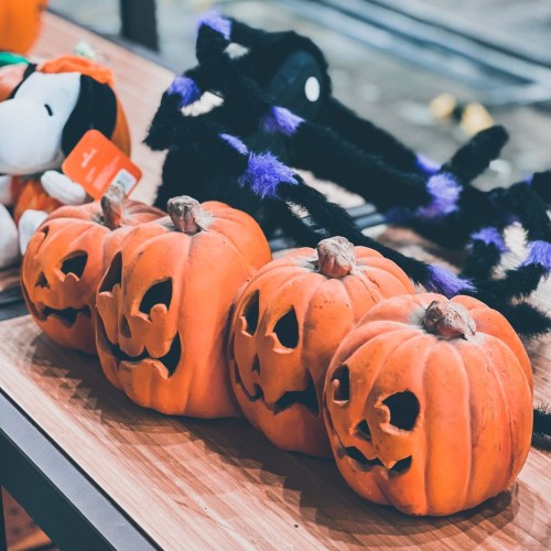 Four carved pumpkins with spooky faces lined up on a table, surrounded by Halloween decorations.