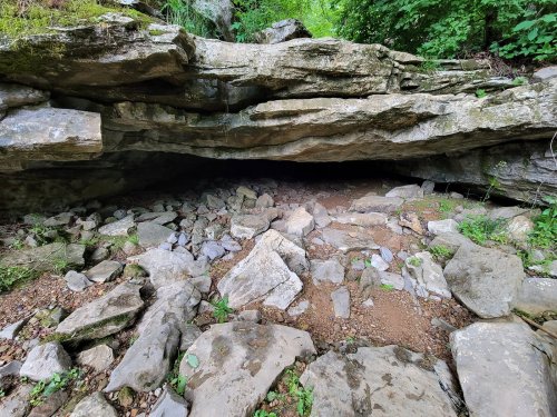 A rocky overhang in a forested area, with scattered stones and greenery surrounding the entrance.