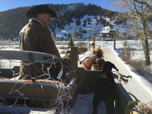 A cowboy in a hat sits in a sled pulled by horses, with a dog beside him, surrounded by snowy mountains.