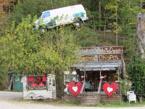 A quirky wedding chapel for dogs, featuring a van on a tree and heart decorations.