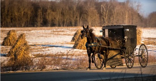 a horse and buggy on a paved road in the small city of clare, michigan