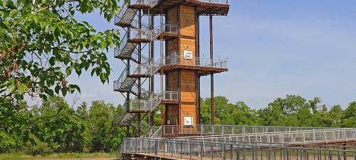 A tall observation tower with a wooden structure and metal stairs, surrounded by greenery and blue sky.