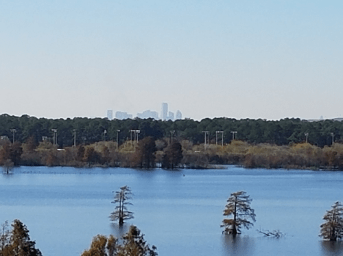 A distant city skyline is visible beyond a calm, flooded landscape with trees emerging from the water.