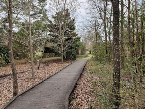 A wooden pathway winds through a wooded area with trees and fallen leaves on either side.