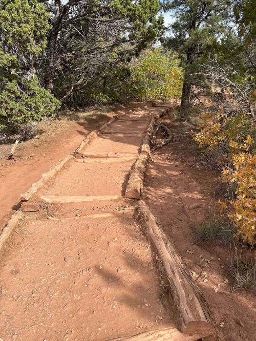 A dirt path lined with wooden logs, surrounded by trees and shrubs in a natural setting.