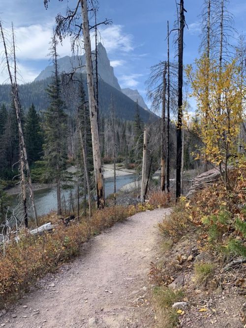 A winding dirt path through a forest with tall, bare trees and a river, set against a backdrop of mountains.