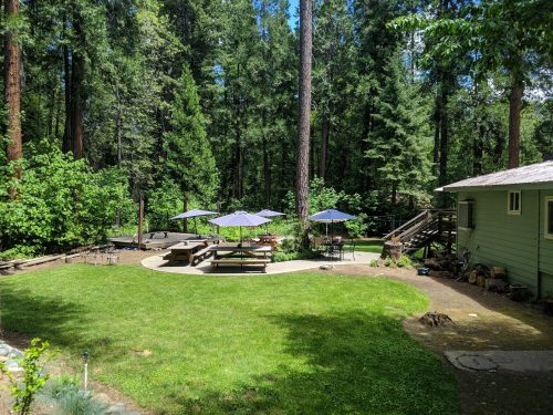 A serene outdoor space with green grass, picnic tables, umbrellas, and tall trees in a forested area.