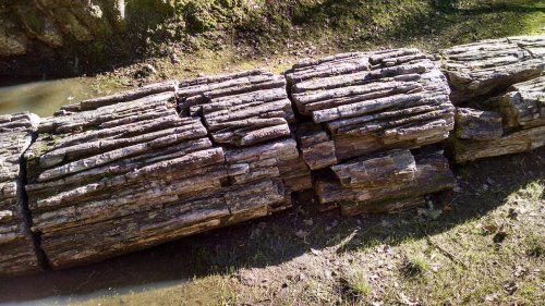A weathered log with a textured surface, partially submerged in shallow water, surrounded by grass and earth.
