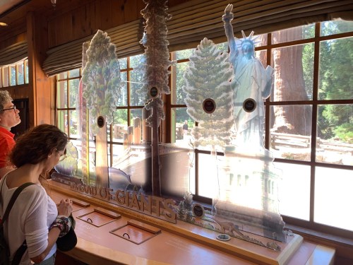 Visitors observe a display comparing giant trees to the Statue of Liberty, with large cutouts and natural scenery outside.