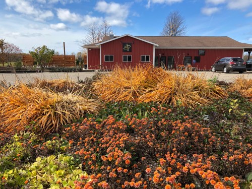 A red barn-style building surrounded by colorful autumn foliage and flowers under a blue sky.