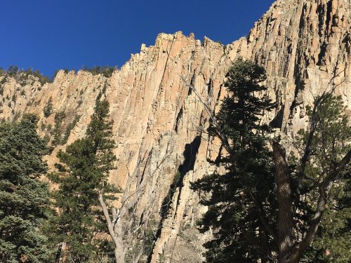 Rocky cliffside with tall, jagged formations and scattered evergreen trees under a clear blue sky.