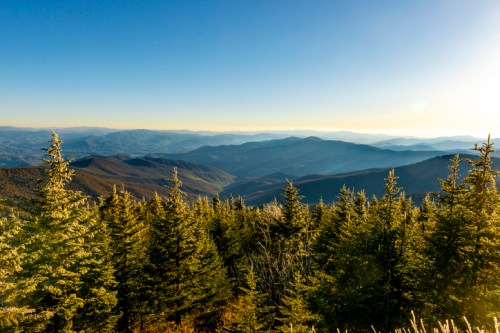 A panoramic view of layered mountains under a clear blue sky, framed by evergreen trees in the foreground.