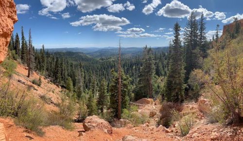 A panoramic view of a lush forested valley with rocky terrain under a bright blue sky and fluffy white clouds.