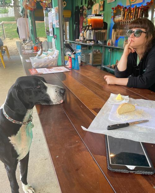 A dog with its tongue out sits by a table where a person rests their chin on their hand, looking thoughtfully.