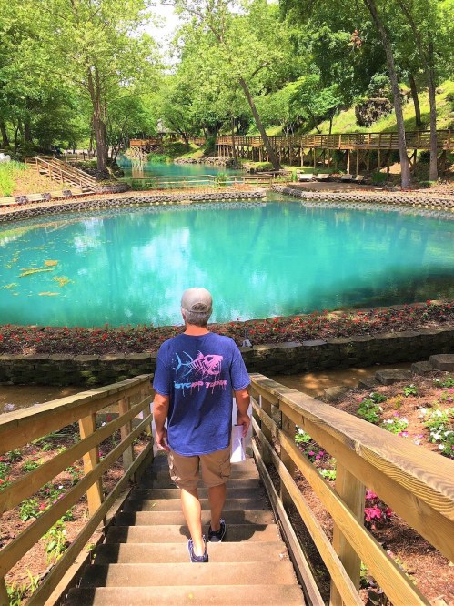 A person walks down wooden steps towards a serene, turquoise pond surrounded by greenery and flowers.