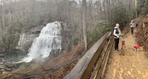 A woman stands with a dog near a waterfall, while another person walks along a path in a wooded area.