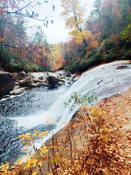 A serene waterfall cascades over rocks, surrounded by vibrant autumn foliage in a tranquil forest setting.